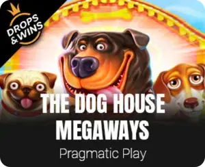 The Dog House